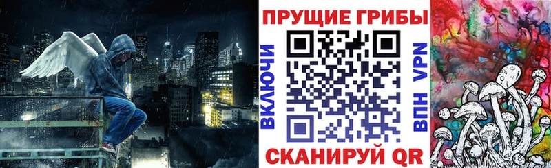 Галлюциногенные грибы прущие грибы  Жирновск 